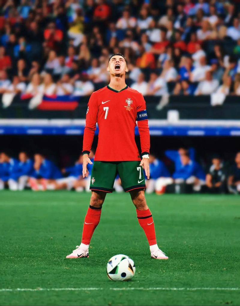 显示出出色 显示出出色