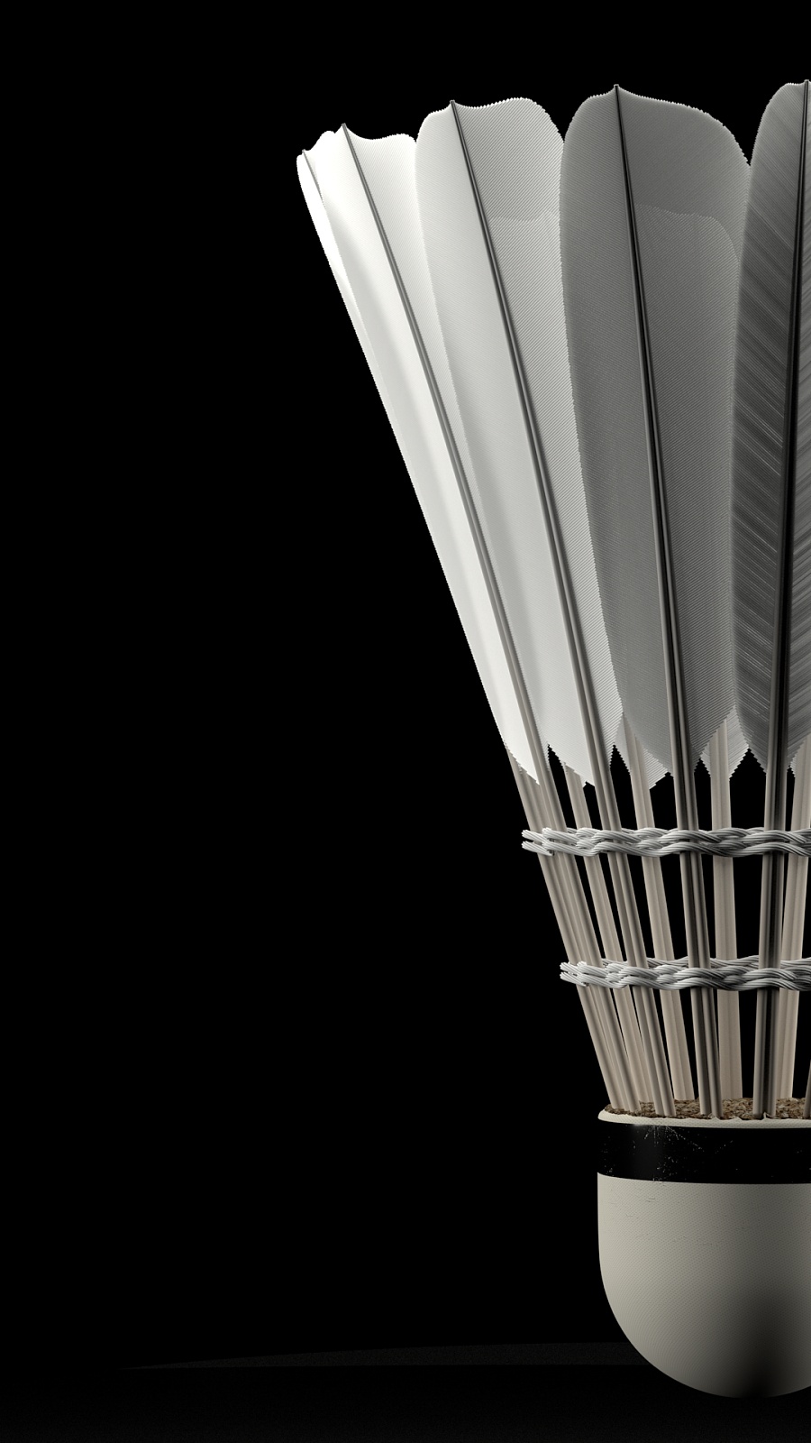 仅属于运动 仅属于运动